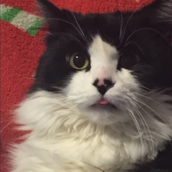 Meet your Posher, Megan - Picture 1 of 1